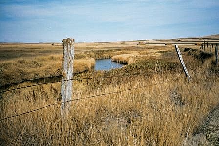 Haven farmland east of Watford City