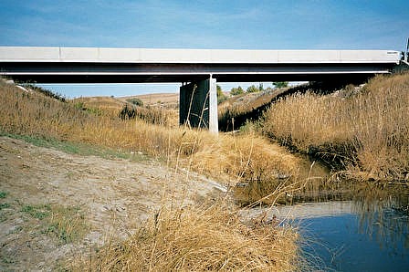 Modern bridge over Cherry Creek